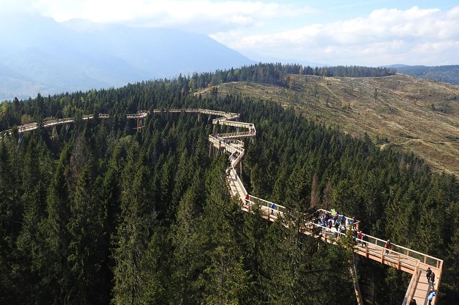 From Kraków: Slovakia Treetop Walk Bachledka and Zakopane - What you see above the Bachledova Valley