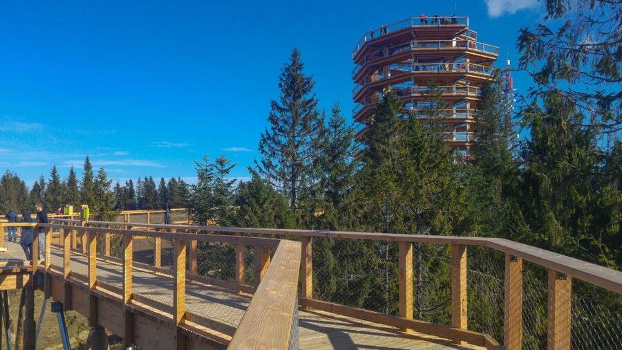 From Krakow: Slovakia Treetop Walk, Zakopane & Thermal Spa - At a glance: what makes this day trip worthwhile