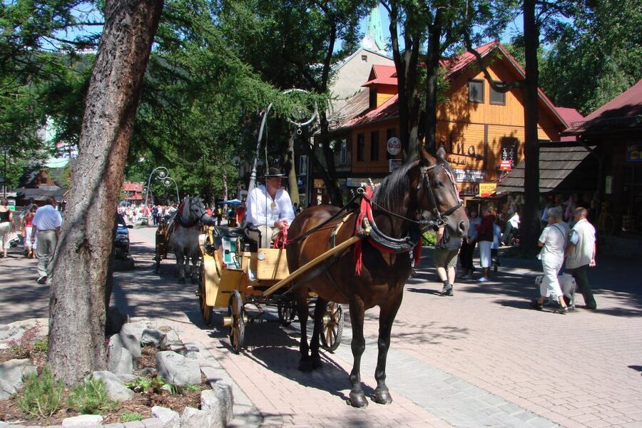 From Krakow: Slovakia Treetop Walk, Zakopane & Thermal Spa - A long mountain day from Krakow