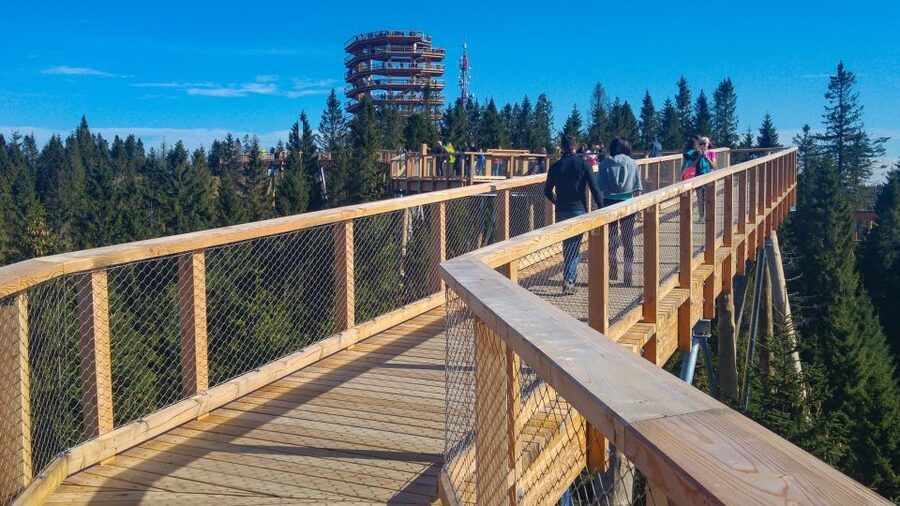 From Krakow: Slovakia Treetop Walk, Zakopane & Thermal Spa - Should you book it?