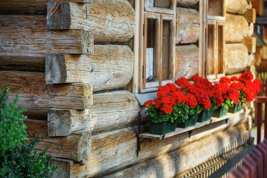 From Krakow: Treetop Walk & Zakopane Visit Small Group Tour - How the transport and group format affect the experience