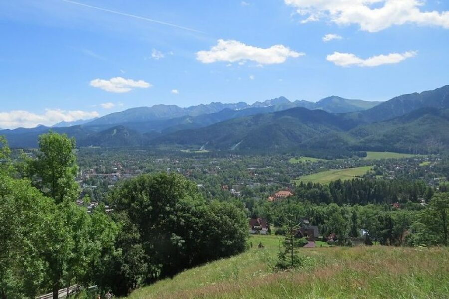 From Krakow: Treetop Walk & Zakopane Visit Small Group Tour - Who should book this Krakow day trip