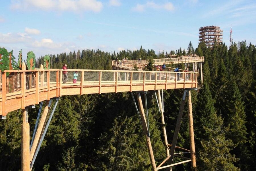 From Krakow: Treetop Walk & Zakopane Visit Small Group Tour - Should you book it?