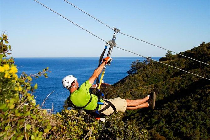 From LA: Catalina Island with Zipline Tour and Hotel Pickup - What the $355.90 price really covers