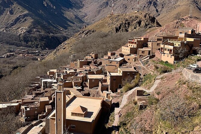 From Marrakesh: Zip-Line & Hike in the Atlas Mountains - Four zip-lines above the pine forest