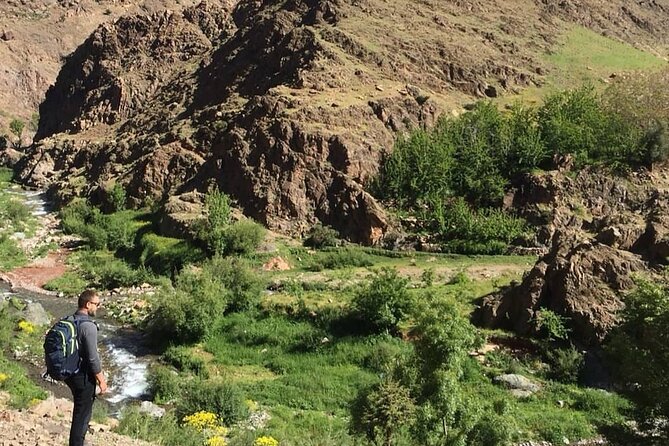 From Marrakesh: Zip-Line & Hike in the Atlas Mountains - Local markets and a slower finish