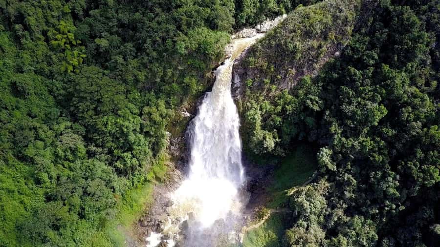 From Medellín: Dream Hammocks, Zipline, & Waterfall Day Trip - The final flight and walk back