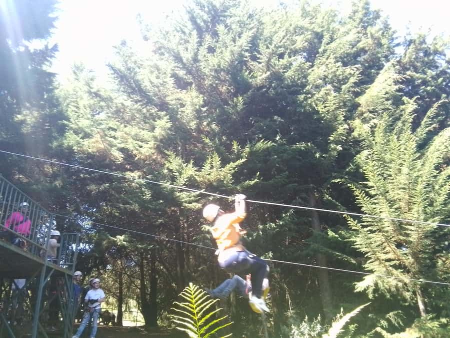 From Nairobi: Zipline Adventure Safari - From Nairobi to Kereita Forest in the Aberdare Ranges