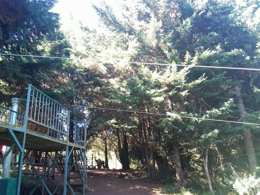 From Nairobi: Zipline Adventure Safari - The 2.2-kilometer flight above the forest