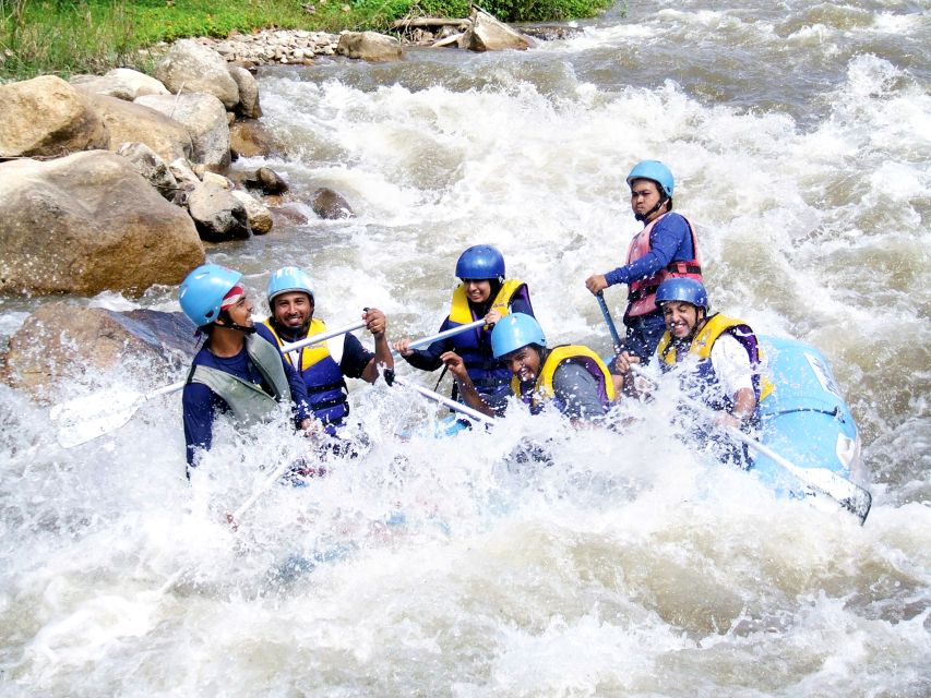 From Phuket: Elephant Care Experience with Rafting & Zipline - Why the elephant encounter is the heart of the day