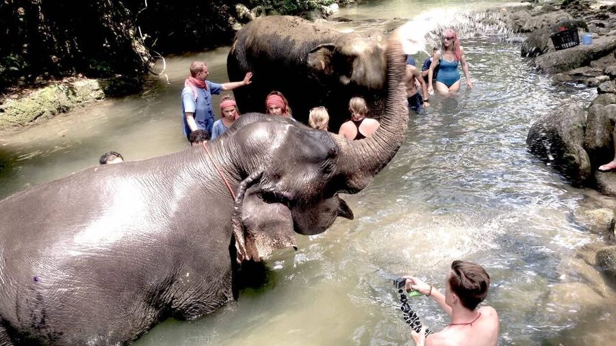 From Phuket: Elephant Care Experience with Rafting & Zipline - Thai lunch and useful breaks
