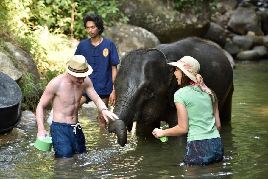 From Phuket: Elephant Care Experience with Rafting & Zipline - What to pack and what to expect