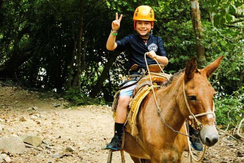 From Puerto Vallarta & Nuevo Vallarta: Canopy Zipline Tour - Who will enjoy this tour most