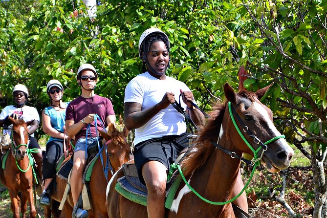 Full-Day La Hacienda Dune Buggy with Zipline & Horseback Activity - Lunch and the value of the $99 price