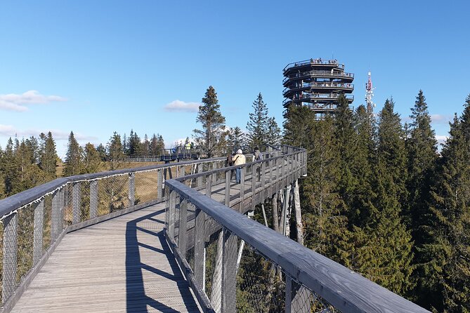 Full-Day Private Tour of Slovakia Treetop Walk and Zakopane - Bachledka Treetop Walk: the first big stop
