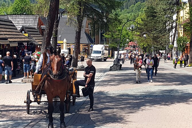 Full-Day Private Tour of Slovakia Treetop Walk and Zakopane - My booking advice