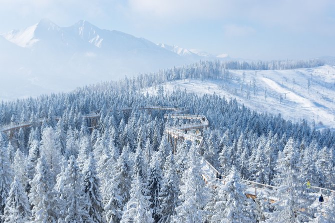 Full-Day Tour of Zakopane and Sky Walk Heart of Poronin - Four hours in Zakopane, from Krupówki to Gubałówka