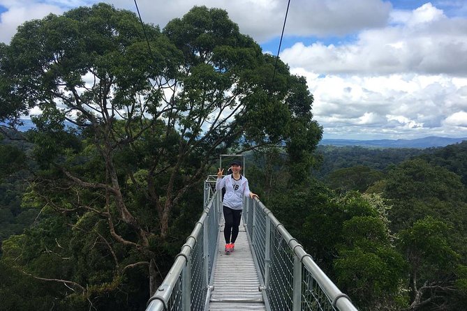 Full Day Trip of Brunei Ulu Temburong National Park including Canopy Walk - Key things to know before booking