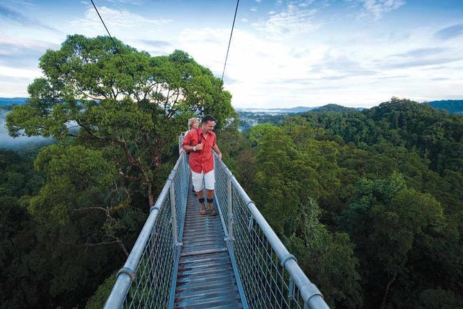 Full Day Trip of Brunei Ulu Temburong National Park including Canopy Walk - Why Ulu Temburong is worth the long route