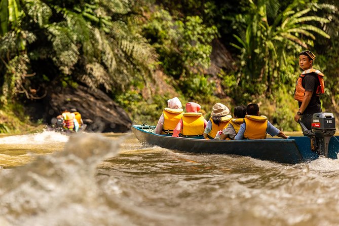 Full Day Trip of Brunei Ulu Temburong National Park including Canopy Walk - The longboat ride into the park