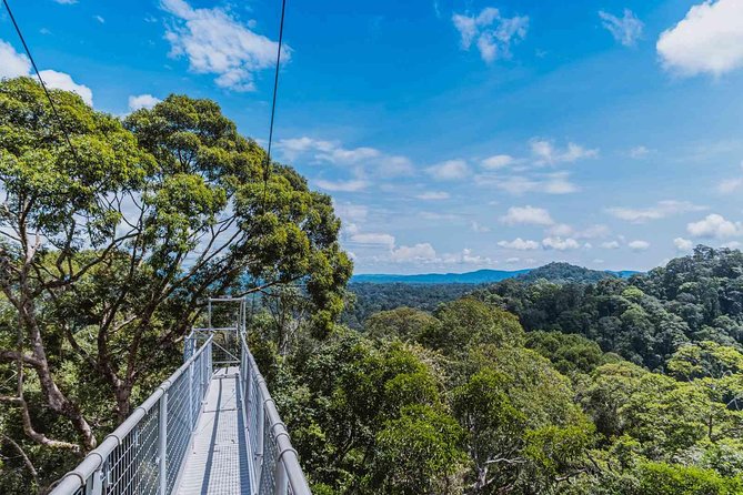 Full Day Trip of Brunei Ulu Temburong National Park including Canopy Walk - Waterfall time at OBBD Waterfall