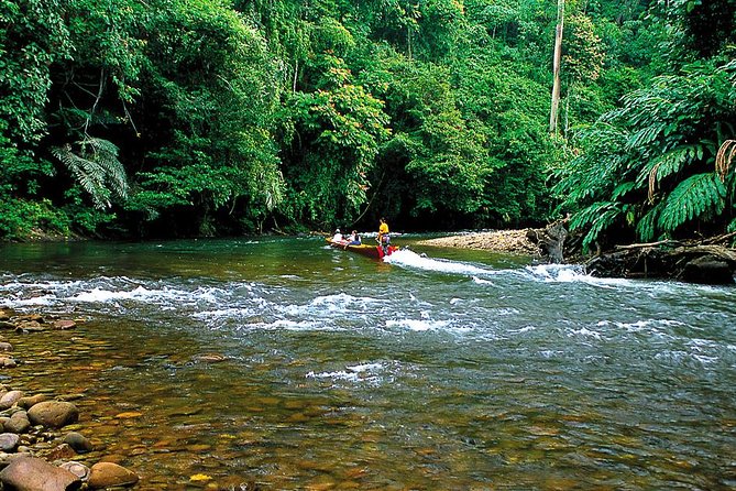 Full Day Trip of Brunei Ulu Temburong National Park including Canopy Walk - River tubing when conditions allow
