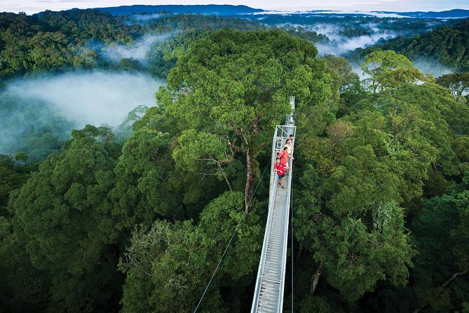Full Day Trip of Brunei Ulu Temburong National Park including Canopy Walk - From Bandar Seri Begawan to Batang Duri