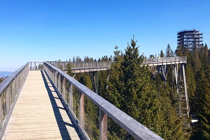 Full-Day Zakopane and Slovakia Treetop Walk From Krakow - What the driver does, and what the driver does not do