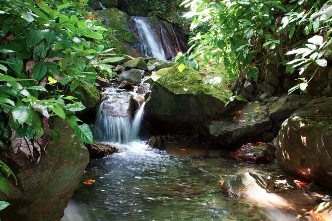 Full-Day Zipline and Waterfall Rappelling Adventure Near San Juan - Rappelling down El Salto Waterfall