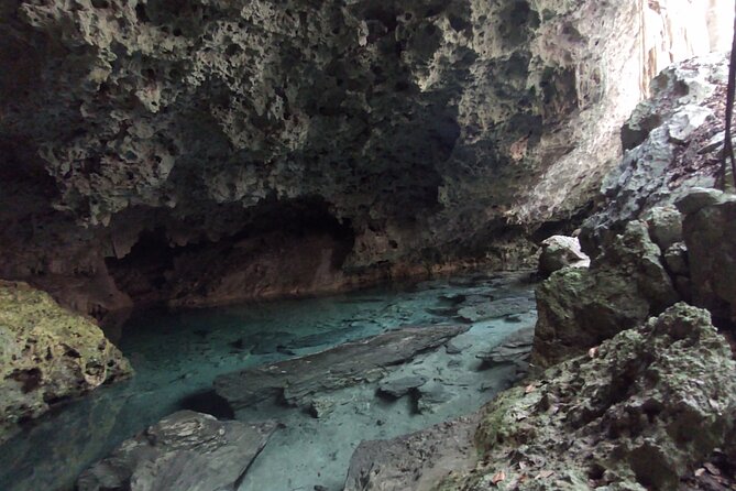 Full-dayTurtle Adventure: ATV, Zipline, Cenote & Turtle Swim - A Mayan ceremony before the water