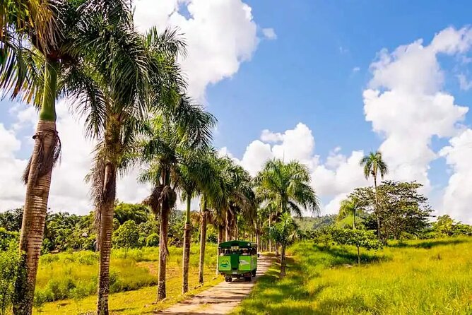 Full Dominican Adventure: Zipline, ATV Buggie, Horseback & Safari - A very early start from Santo Domingo