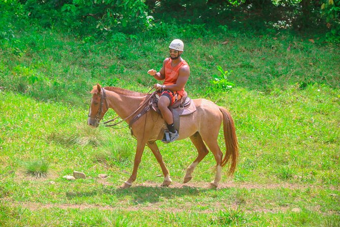 Full Pack Buggies + Horses + Zip Line + Food in Punta Cana - Dominican food adds real value to the package
