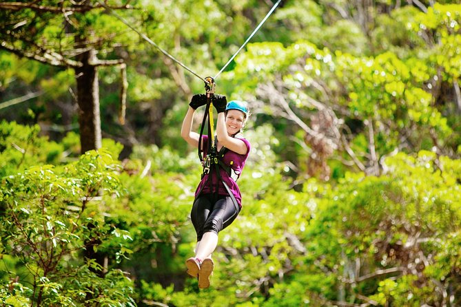 Gold Coast Canyon Flyer Zipline Tour - Key points to know before you fly