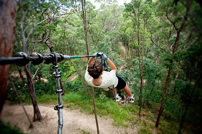 Gold Coast Canyon Flyer Zipline Tour - Seven or eight cables above Cedar Creek Gorge