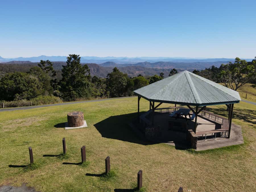 Gold Coast: Lamington Treetops, Wildlife and Vineyard Visit - Should you book the Lamington and vineyard tour?