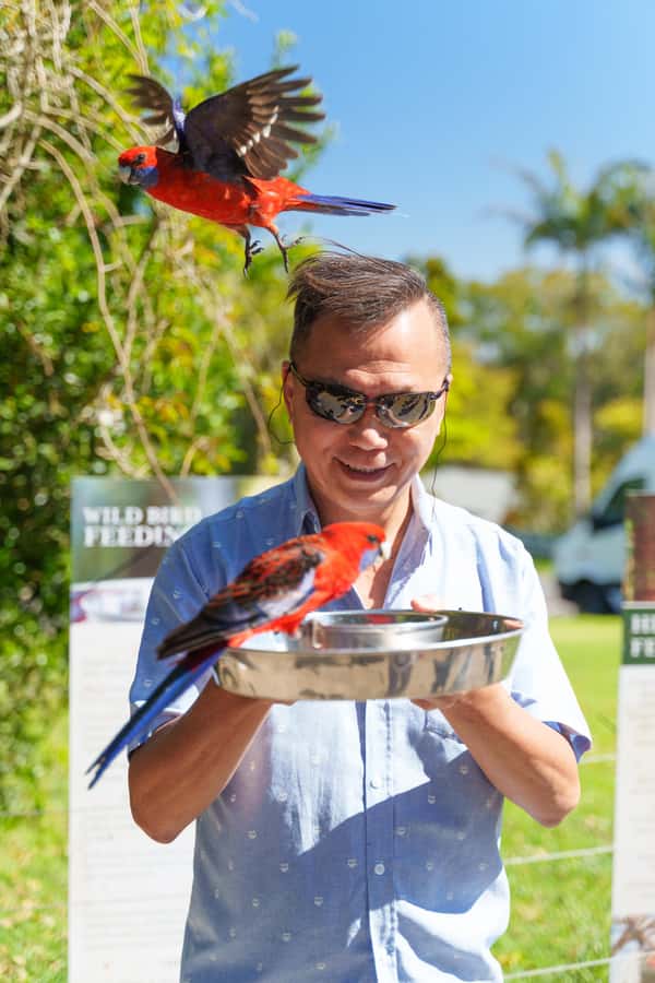 Gold Coast: Lamington Treetops, Wildlife and Vineyard Visit - The treetop canopy walk and forest stops