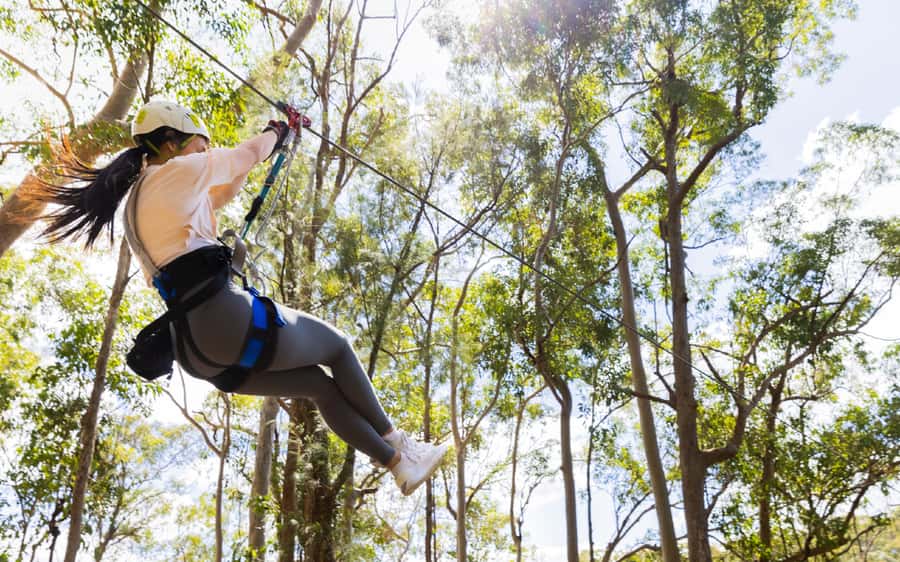 Gold Coast: Tamborine Mountain Canyon Flyer Zipline Tour - The views are part of the value