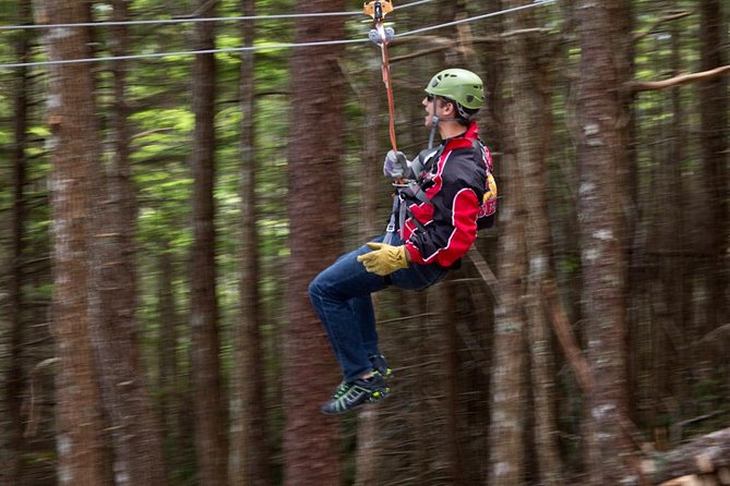 Grizzly Falls Ziplining Expedition - The guides shape the tone of the day