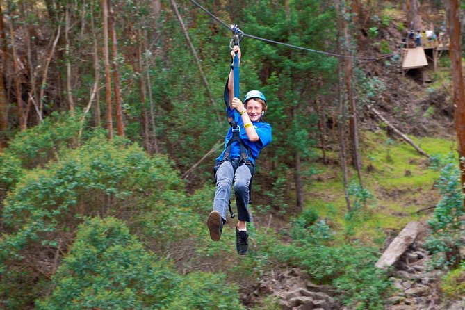 Haleakala 6 Line Zipline Adventure - Six lines above Maui’s forest floor