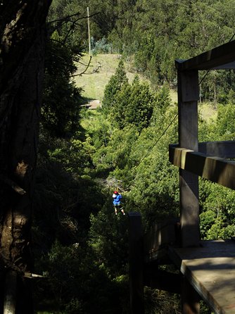 Haleakala 6 Line Zipline Adventure - How to fit it into a Haleakala day