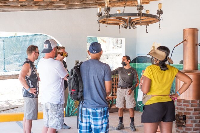 Half-Day San José del Cabo Zip Line and Rappel Adventure - The uphill walking between activities