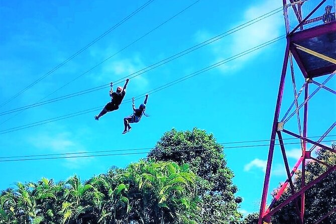Half Day Tour in Rainforest Zipline Park with Transportation - Key points before you book