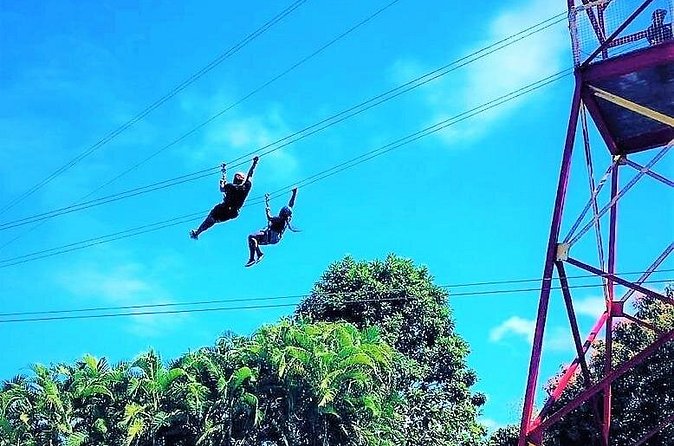 Half Day Tour in Rainforest Zipline Park with Transportation - Who will enjoy this most?