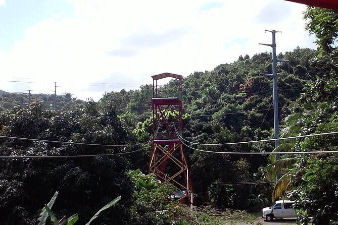 Half Day Tour in Rainforest Zipline Park with Transportation - Half-day or a longer Puerto Rico outing?