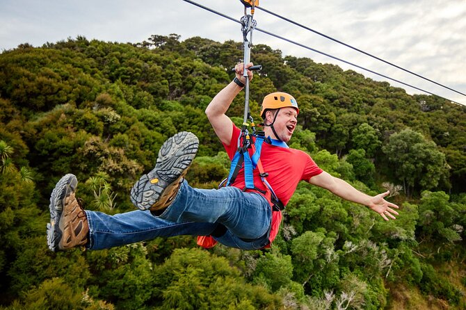 Half Day Zipline Adventure in Kaikoura - What the Half-Day Schedule Feels Like