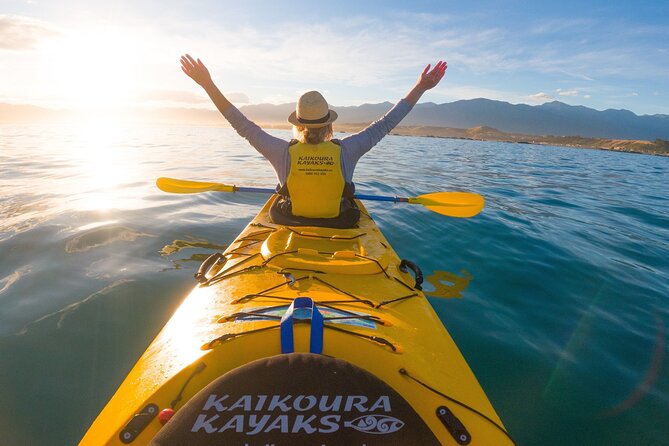 Half Day Zipline Adventure in Kaikoura - Conservation Beyond the Adrenaline