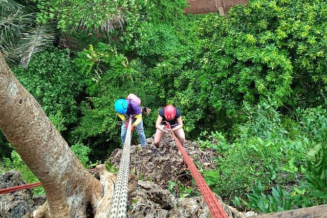 Half Day Zipline and Rainforest Exploration in Krabi - Who Will Enjoy This Most?