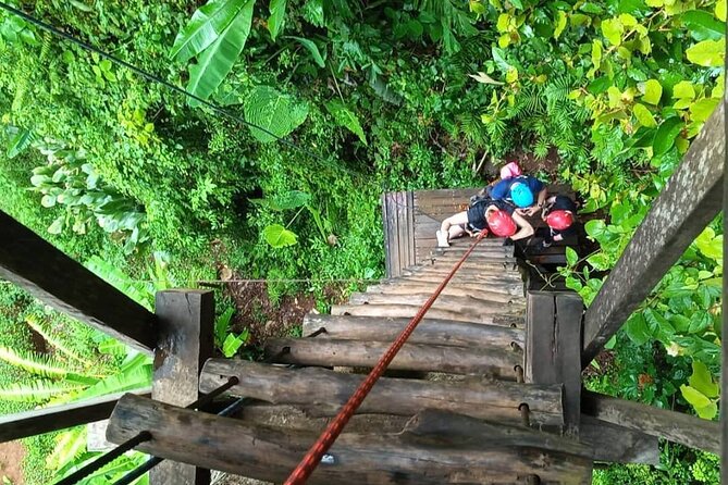 Half Day Zipline and Rainforest Exploration in Krabi - Pickup, Timing, and Group Size