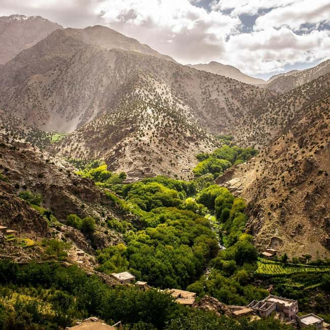 Half day Zipline out of marrakech city with breakfast - Bread, argan oil, and Moroccan welcome tea