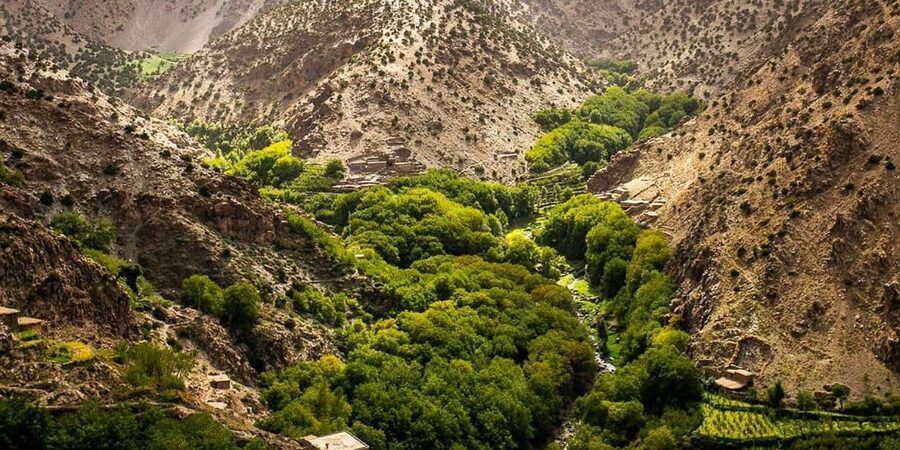 Half day Zipline out of marrakech city with breakfast - Guides who shape the day